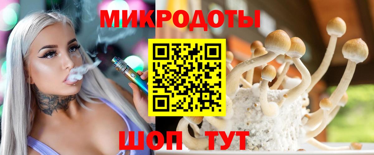 Новокуйбышевск  Галлюциногенные грибы Psilocybine cubensis  Псилоцибиновые грибы MAGIC MUSHROOMS  Вход с VPN 