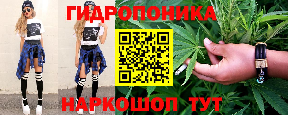 Бошки марихуана OG Kush Новокуйбышевск